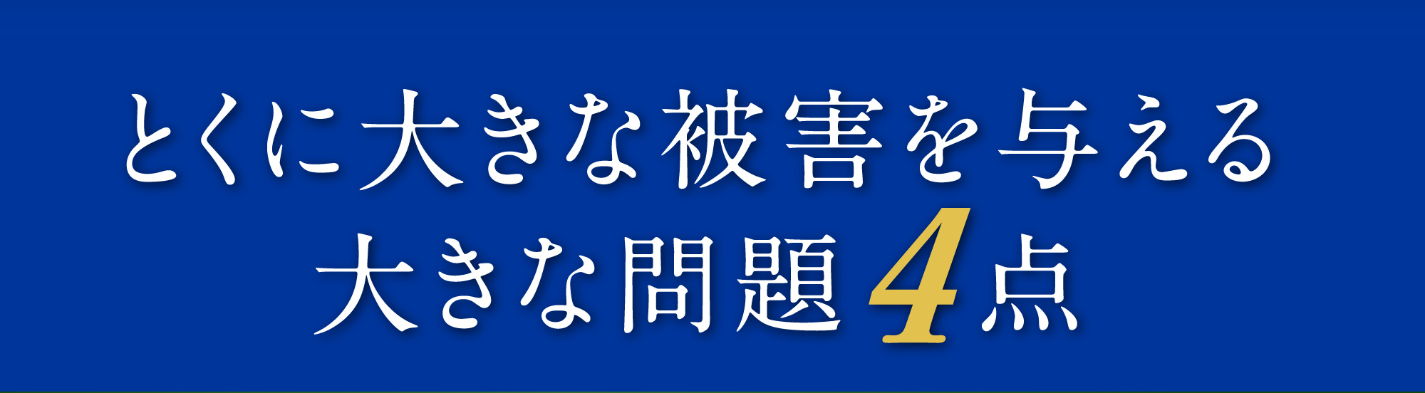 とくに大きな被害を与える大きな問題4点。