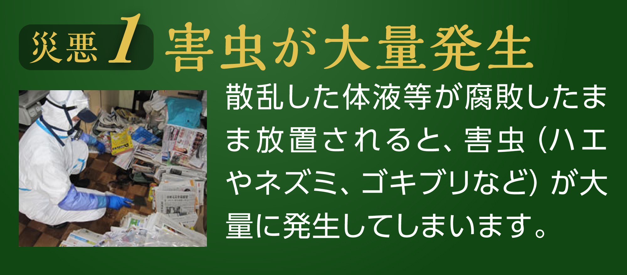 害虫が大量発生。散乱した体液等が腐敗したまま放置されると、害虫（ハエやネズミ、ゴキブリなど）が大量に発生してしまいます。