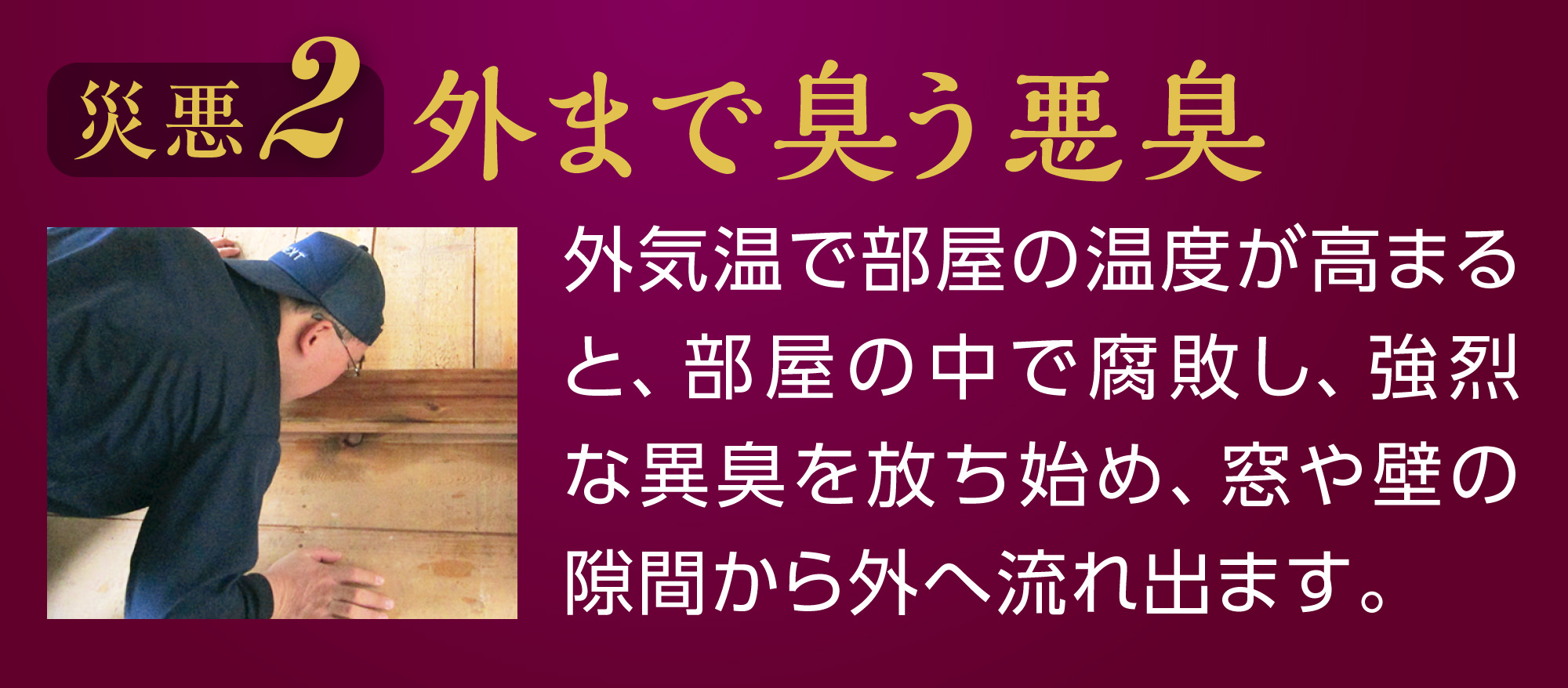 外まで臭う悪臭。外気温で部屋の温度が高まると、部屋の中で腐敗し、強烈な異臭を放ち始め、窓や壁の隙間から外へ流れ出ます。