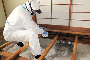 床板の向こう側にまで到達・染み込んでしまった体液や血液が腐敗したきつい臭いを止めるために、床板を剥がしての施工を行います。